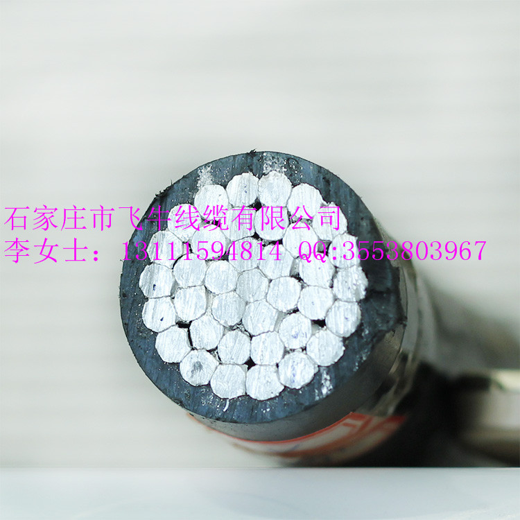 廠家直銷(xiāo)高低壓電力電纜/架空線/鋼芯鋁絞線/架空絕緣電纜 架空線/鋼芯鋁絞線/電力電纜