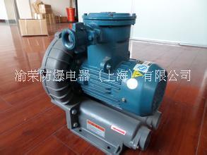 專(zhuān)業(yè)防爆高壓離心風(fēng)機(jī)渝榮防爆特價(jià)