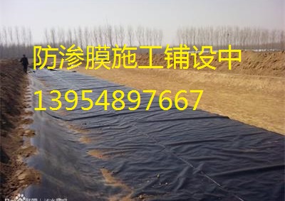 廣州復(fù)合土工膜批發(fā)價(jià)格，防滲土工膜，魚塘土工膜，養(yǎng)殖防滲膜