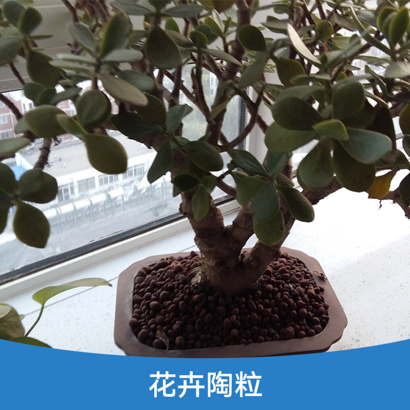 花卉陶粒批發(fā) 水培花卉陶粒 栽培基質(zhì)保水保肥陶粒 花園園藝陶粒