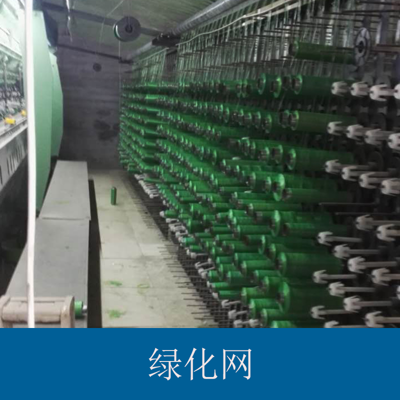 熱塑性樹脂防水土流失護(hù)坡綠化網(wǎng) 植被土壤固土三維網(wǎng)土工網(wǎng)墊批發(fā)