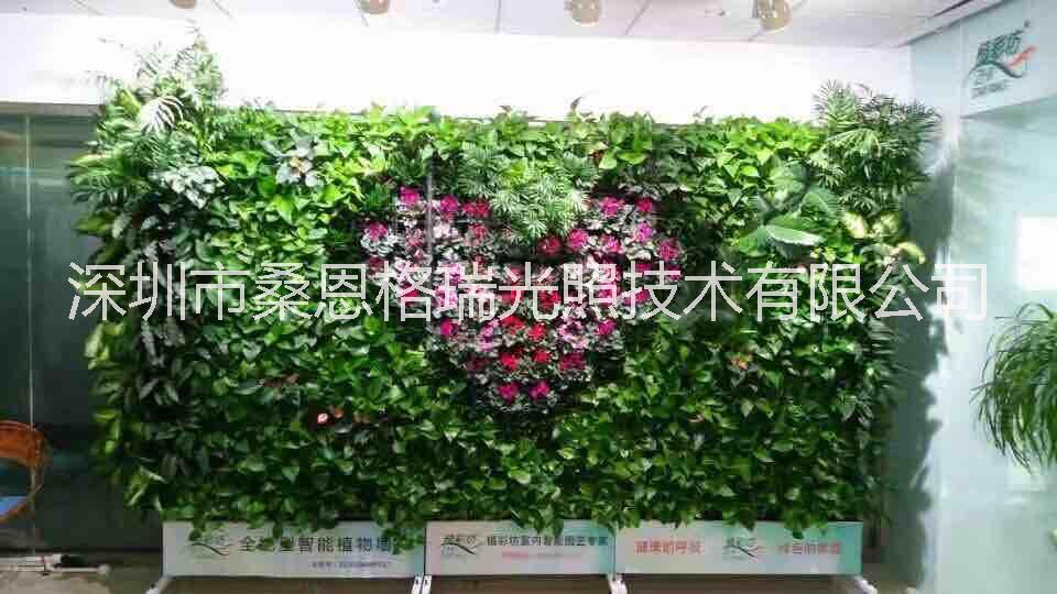 綠墻植物生長補光軌道燈 熱銷 綠墻植物生長補光軌道燈 LED綠墻植物生長補光軌道燈 LED綠墻植物生長補光軌道射燈