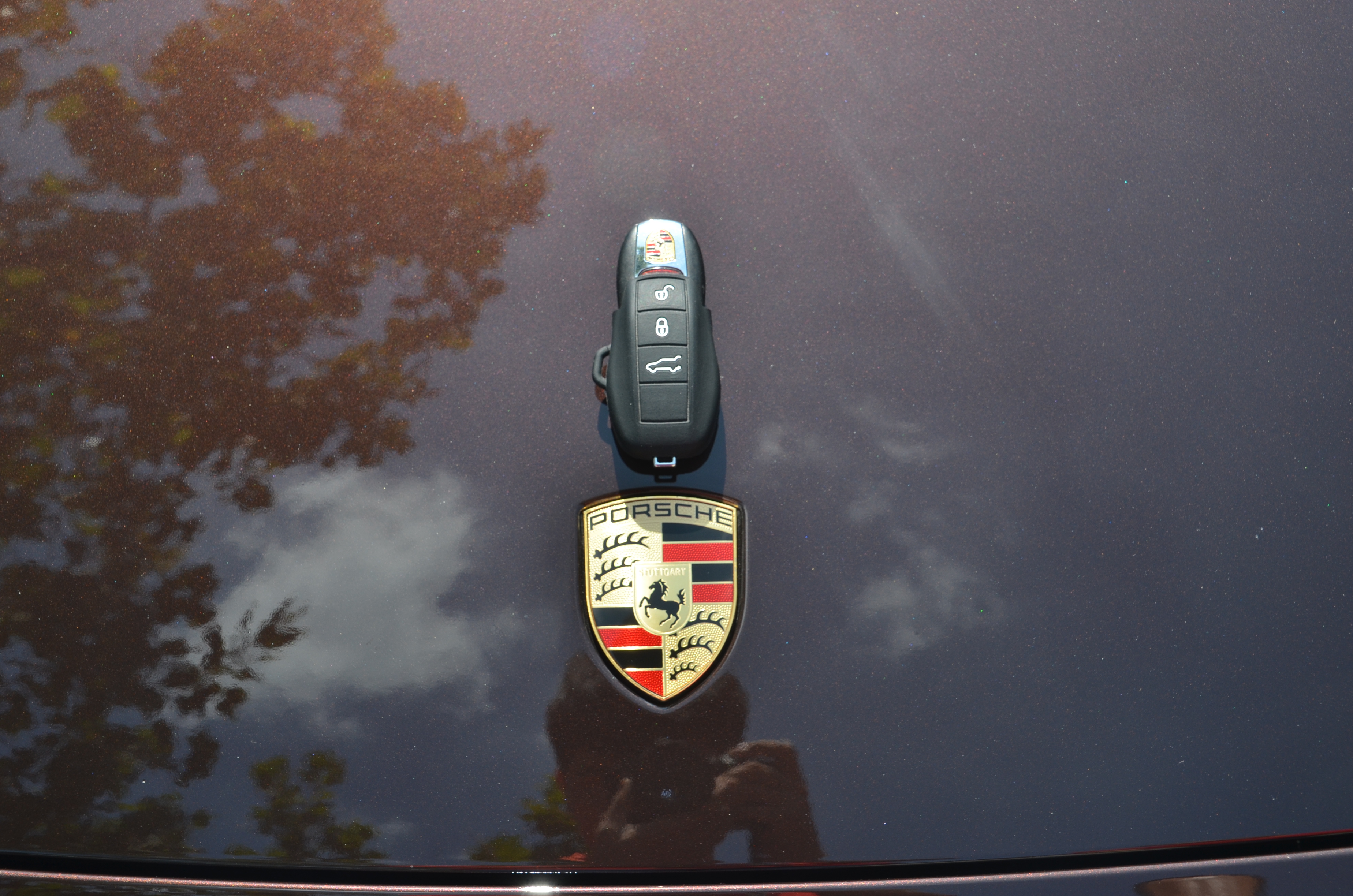 青島保時(shí)捷貼隱形車衣有限公司