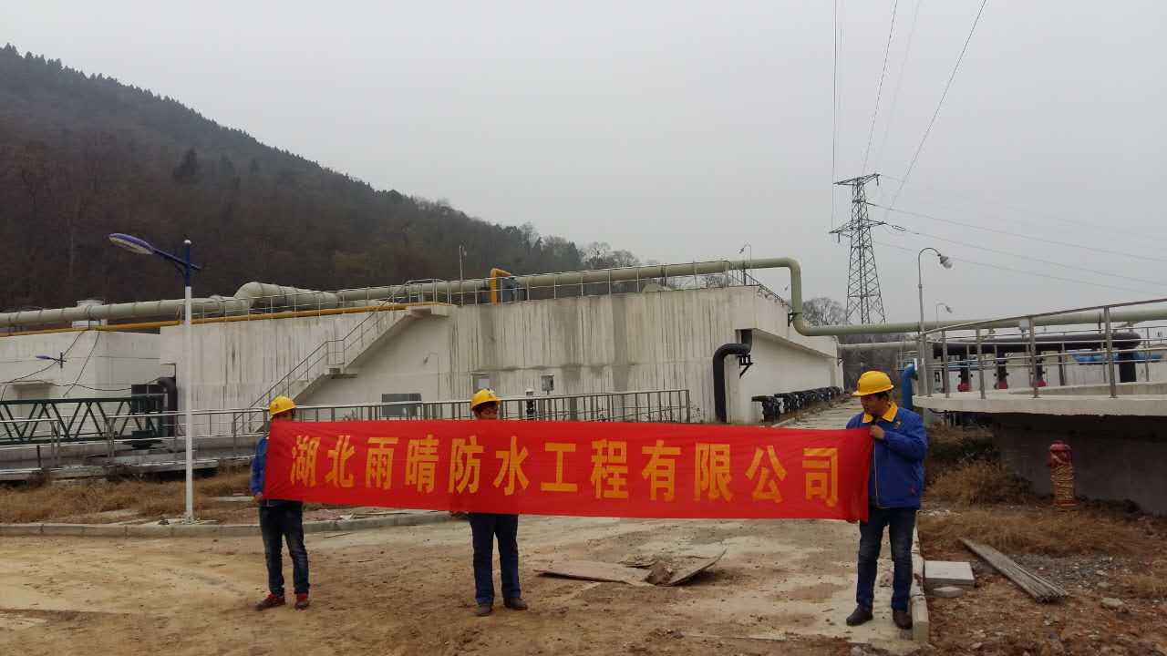 湖北供應DPS防水涂料防水防潮材料適用范圍市場價格