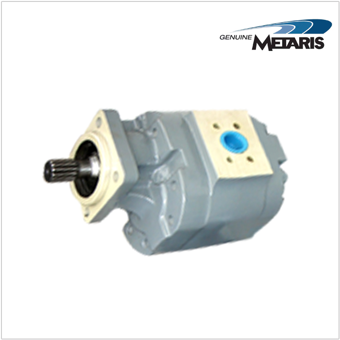 進(jìn)口鑄鐵齒輪泵