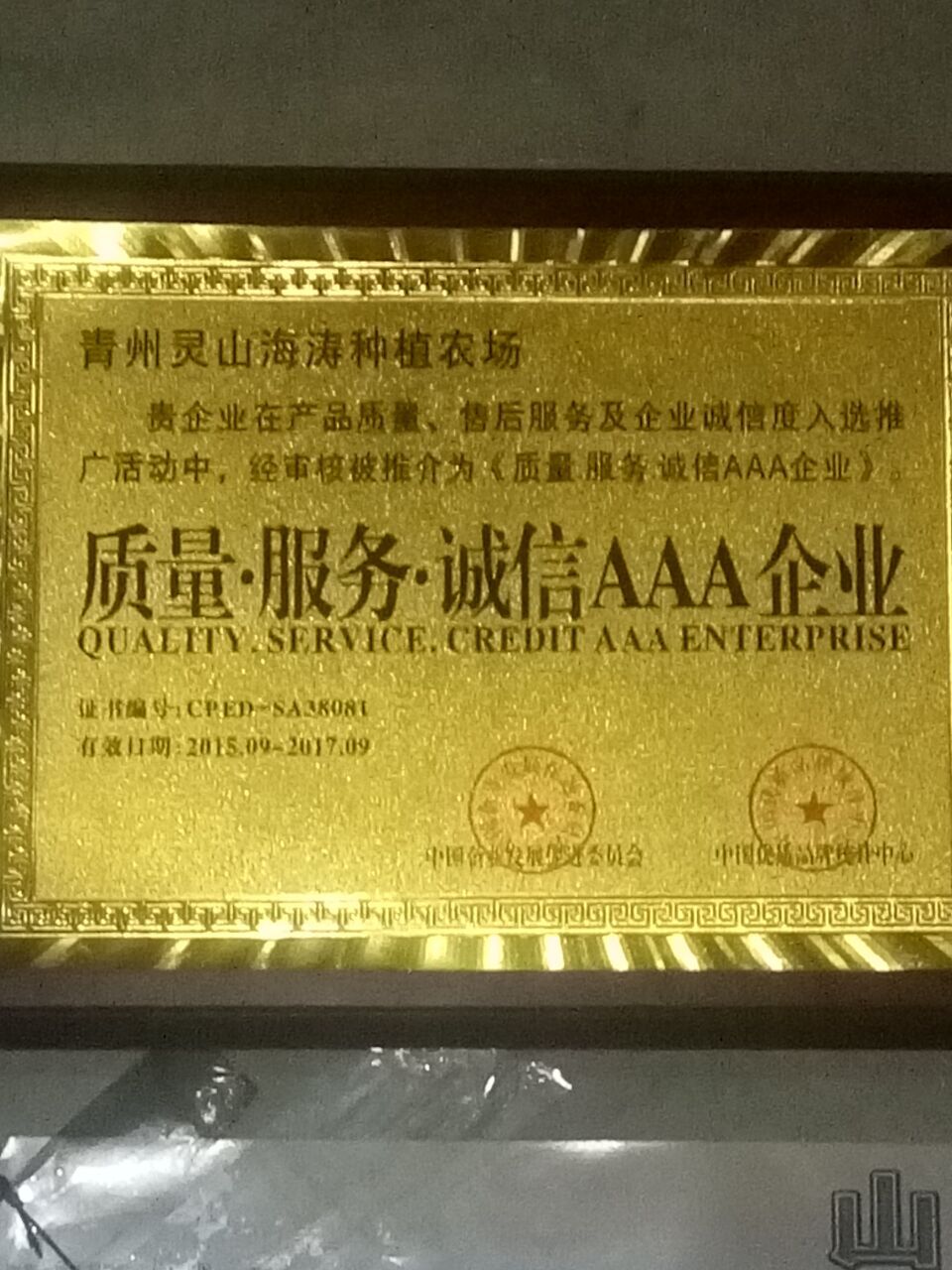 山西濤九紅*桃樹苗批發(fā)價(jià)格  濤九紅桃樹苗 當(dāng)年嫁接濤九紅桃樹