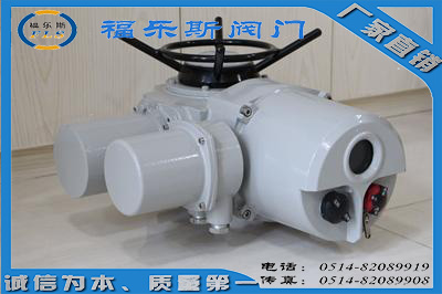 福樂斯 Z10-24W/Z，Z20-24W/T智能型電動執(zhí)行器