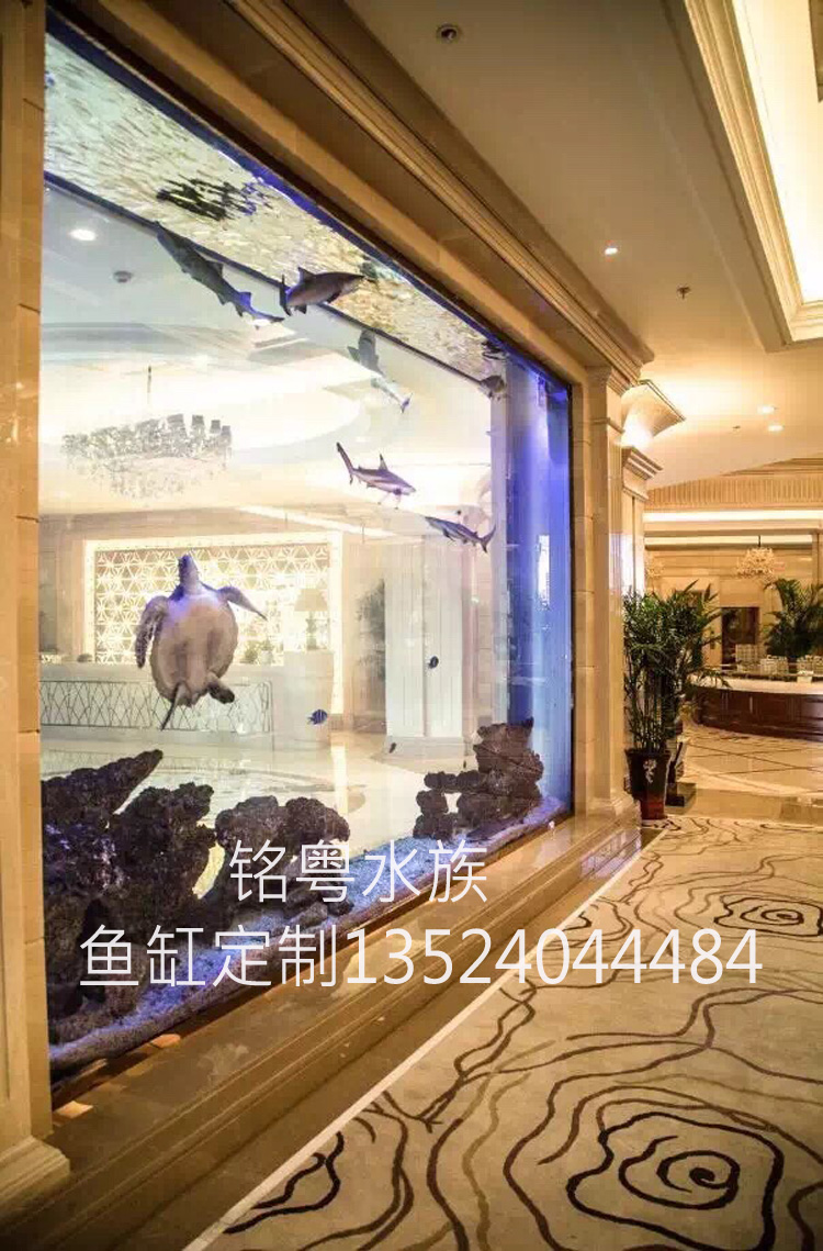 海南魚(yú)缸工廠承接亞克力觀賞水族箱 會(huì)所中心鯊魚(yú)景觀魚(yú)缸工程