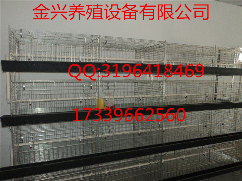 立式育雛籠 立式育雛籠價格 優(yōu)質(zhì)立式育雛籠廠家直銷