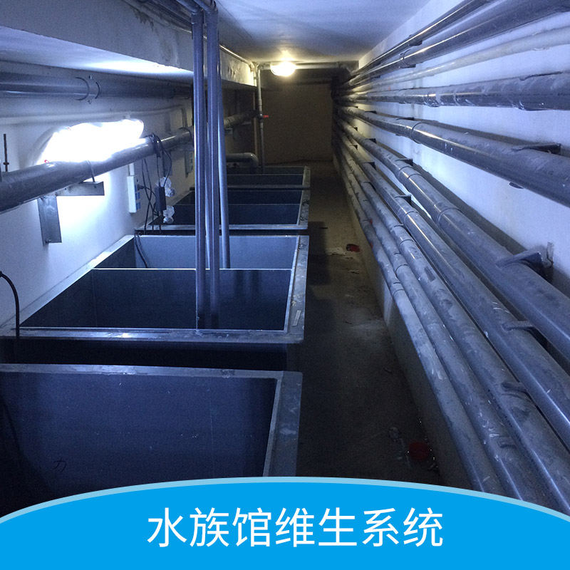 水族館維生系統(tǒng)水族館魚缸定做｜定做有機玻璃魚缸｜大型魚缸