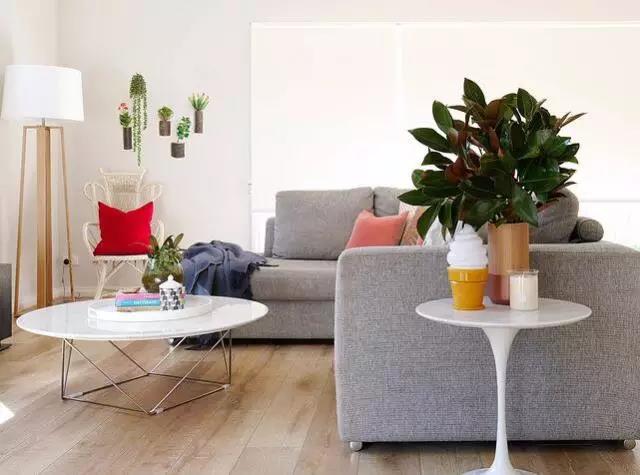 蒙太奇硅藻泥 蒙太奇硅藻泥手擦 到底選硅藻泥還是乳膠漆、壁紙，看完你就明白了！