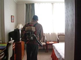 廣州上門滅白蟻有效家庭白蟻防治