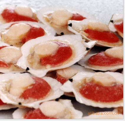 大量供應(yīng)渤海灣長島石斑魚