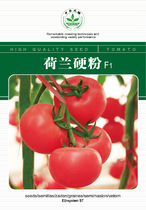 硬粉王冠番茄種子   粉果番茄  硬果番茄