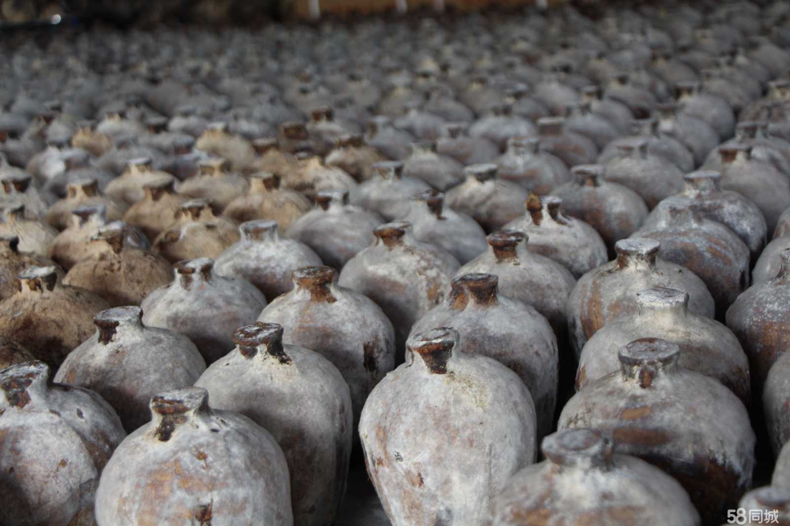 洞藏老壇酒生產(chǎn)供應(yīng) 53°洞藏老壇酒醬香型白酒 廣州經(jīng)銷(xiāo)批發(fā)