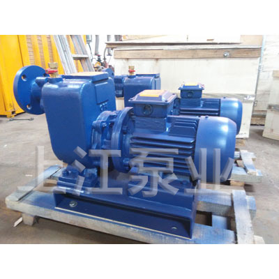 自吸泵廠家 供應(yīng)ZXL型直聯(lián)式自吸泵 自吸排污泵 自吸清水泵