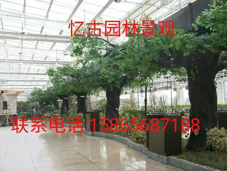 青島假樹多少錢 假山 水泥室內(nèi)外假樹制作