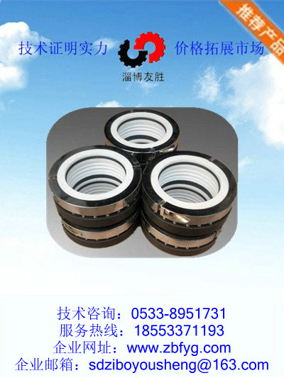 攪拌軸 機(jī)械密封 機(jī)械密封，反應(yīng)釜機(jī)械密封