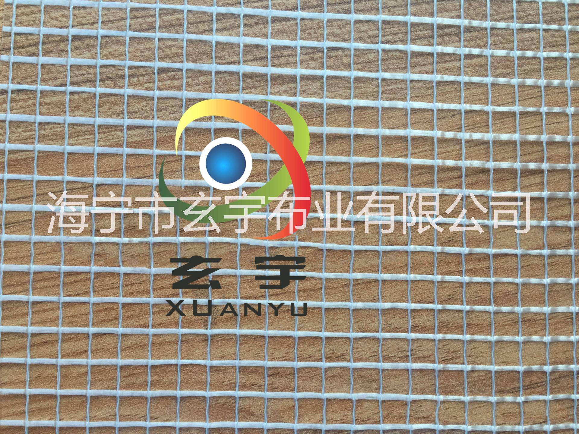 供應(yīng)1000D/33透明夾網(wǎng)布 1000D/3*3透明夾網(wǎng)布 1000DPVC透明夾網(wǎng)布