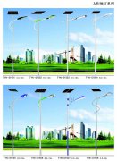天津生產(chǎn)廠家直爆款路燈太陽能路燈