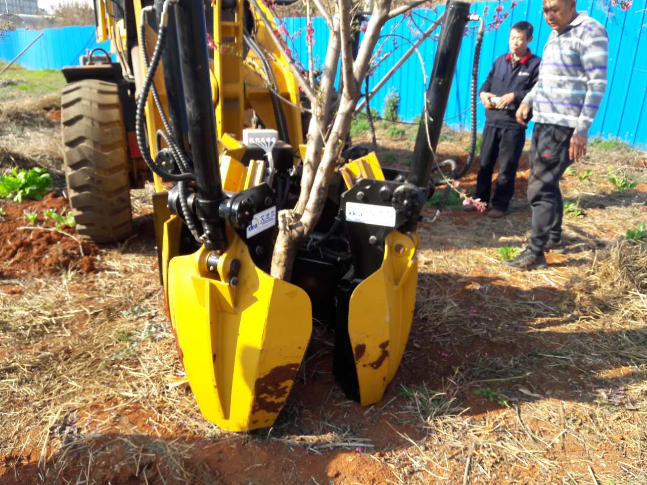 供應(yīng)艾迪爾700移樹機，挖樹機，苗圃用移樹機挖樹機，鏟車改裝移樹機，春季植樹機設(shè)備