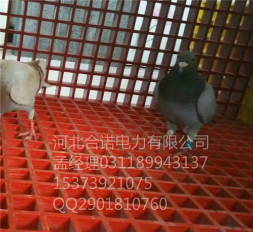 玻璃鋼格柵 玻璃鋼網(wǎng)格板山西廠家直銷現(xiàn)貨供應(yīng)