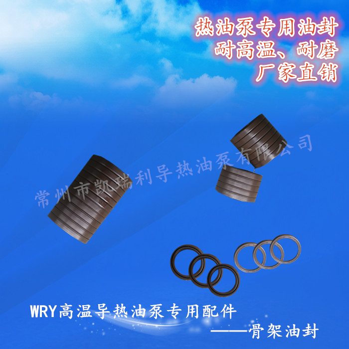 廠家直銷O型氟膠油封 耐磨耐高溫
