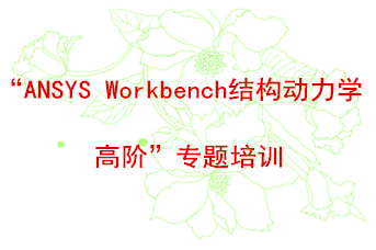 “ANSYS Workbench結(jié)構(gòu)動力學(xué)高階“專題培訓(xùn)
