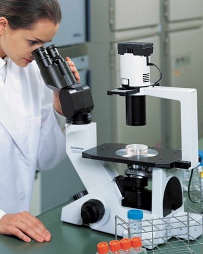 奧林巴斯CKX31，正置顯微鏡