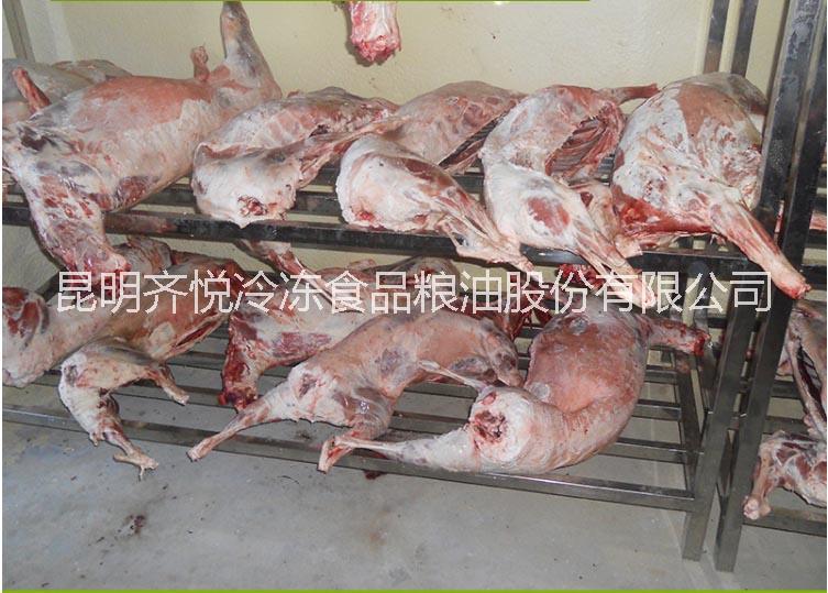 供應冷凍羔羊排 羊腿 冷凍羔羊腰批發(fā)廠家 冷凍羔羊腿批發(fā)價格