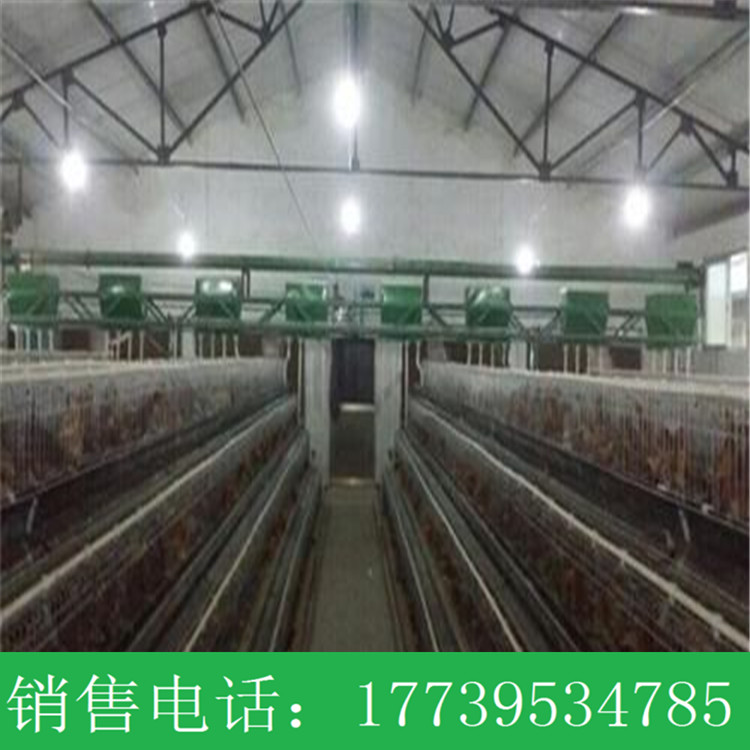 供應(yīng)自動(dòng)喂料設(shè)備 龍門(mén)式上料機(jī)