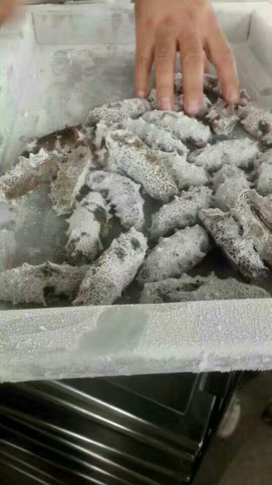 廠家直銷速凍柜食品冷凍柜