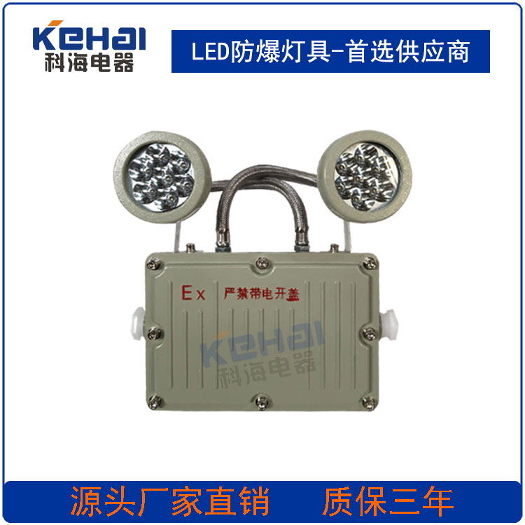 供應(yīng)優(yōu)質(zhì)LED雙頭防爆應(yīng)急燈