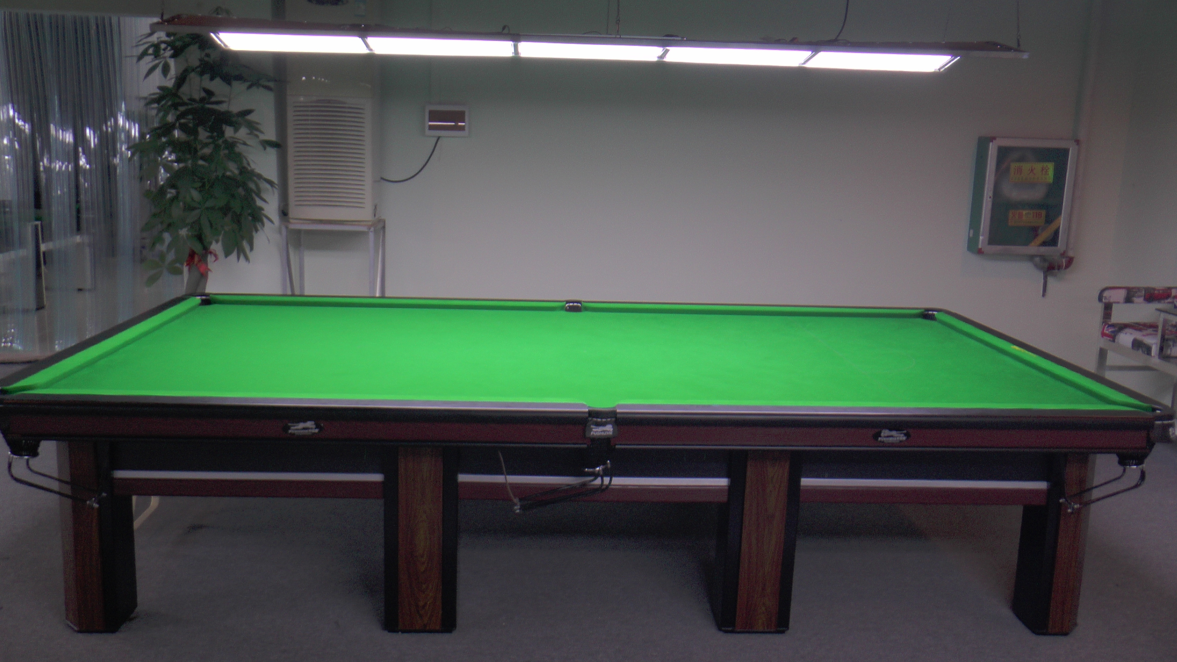 撲食者，藍(lán)寶石 臺(tái)球 海南臺(tái)球 海南臺(tái)球哪家好 海南臺(tái)球廠家直銷 海南臺(tái)球供應(yīng)商 海南臺(tái)球批發(fā)價(jià)