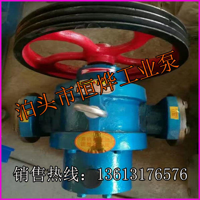 羅茨泵現(xiàn)貨供應(yīng) 山東LC羅茨油泵批發(fā)商