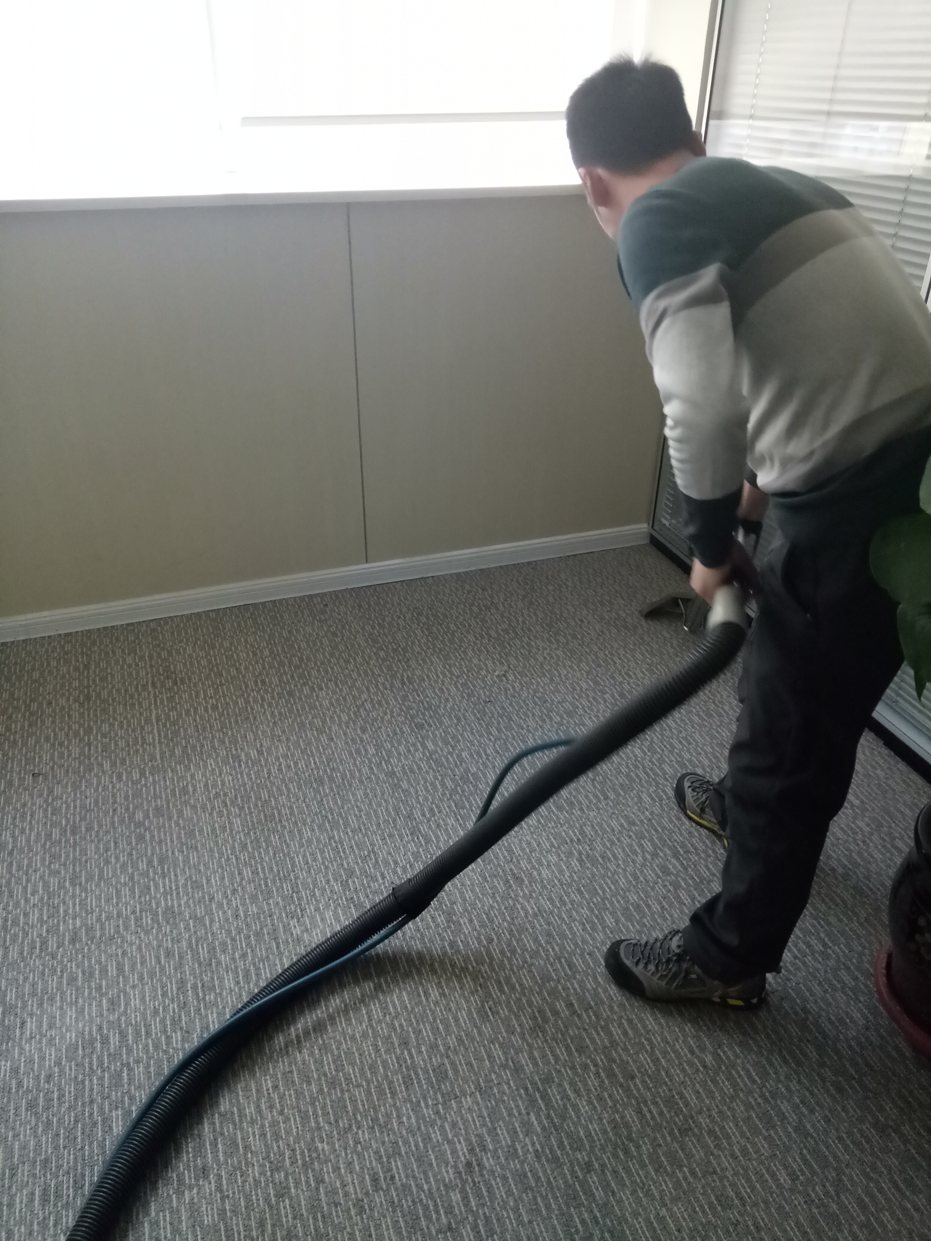 青島清洗地毯 青島嶗山區(qū)清洗地毯