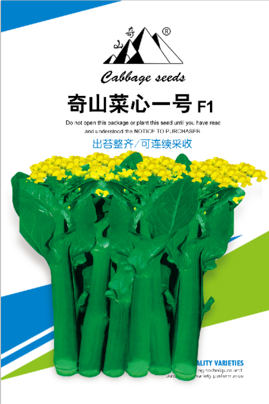 奇山雜交菜心種子，盛琪蔬菜種子公司銷售，基地選擇優(yōu)質(zhì)雜交菜心種子