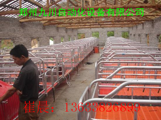 豬場自動化飼喂設(shè)備