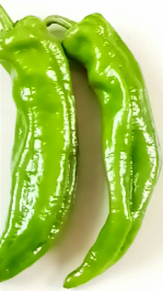 聊城尖椒批發(fā)價格供應 山東聊城尖椒供應 尖椒經銷商代銷