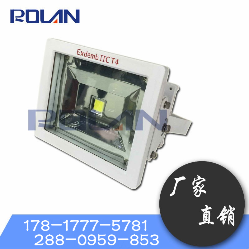 集成光源 50W LED防爆投光