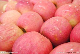 紅富士廠家直銷(xiāo) 蘋(píng)果熱賣(mài)電話 甘肅天水特產(chǎn)紅富士蘋(píng)果新鮮果園