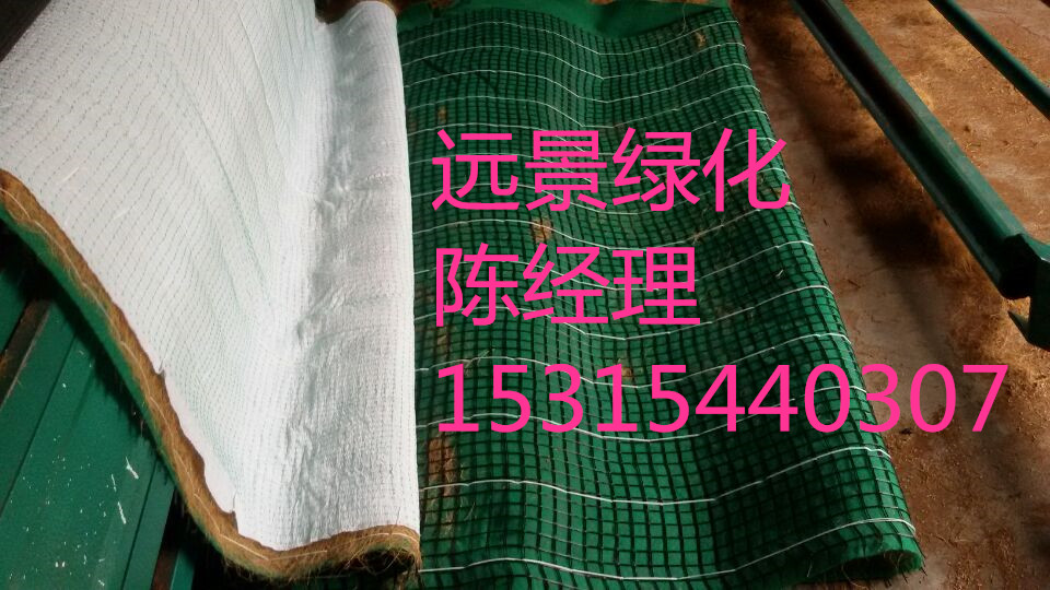 廠家*南昌抗沖生態(tài)毯植生被邊坡護坡綠化