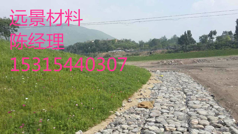 廠家*南昌遠(yuǎn)景植物纖維毯環(huán)保草毯邊坡護(hù)坡材料