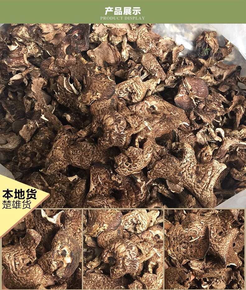 云南黑虎掌菌 黑虎掌菌批發(fā) 黑虎掌菌報(bào)價(jià) 黑虎掌菌哪里好