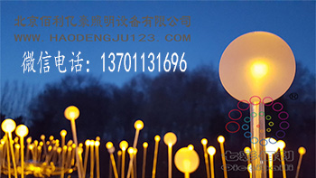 天津光纖藝術(shù)燈