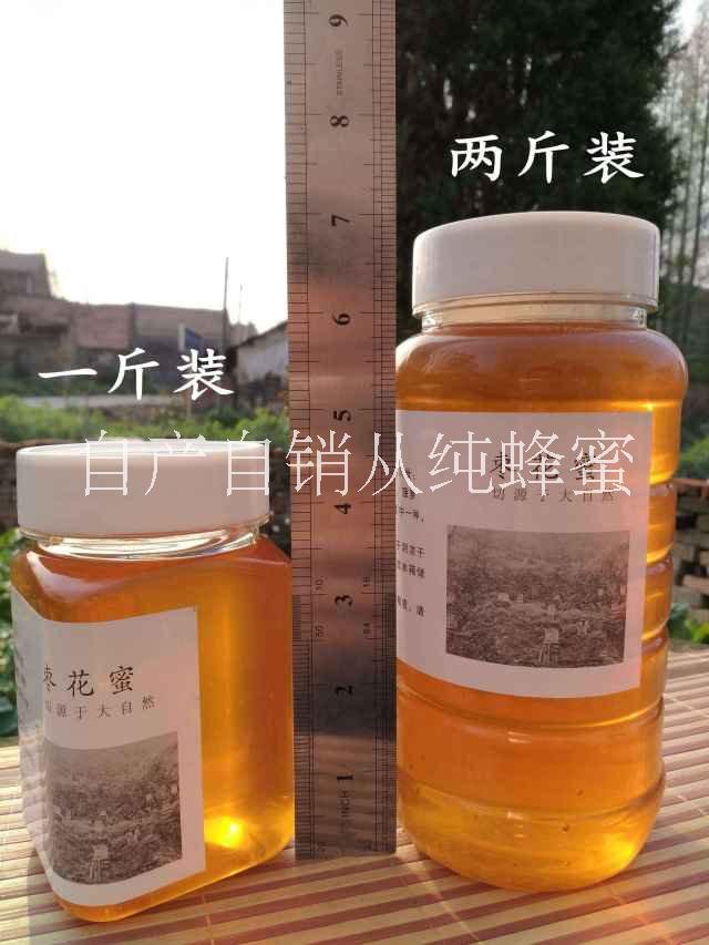 棗花蜜蜂蜜純正天然*農(nóng)家自產(chǎn) 原生態(tài) 零添加