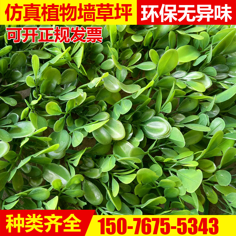 河北仿真發(fā)財(cái)樹供應(yīng)商 仿真發(fā)財(cái)樹批發(fā) 廠家直銷仿真發(fā)財(cái)樹塑料草坪 客廳裝飾影視墻背景