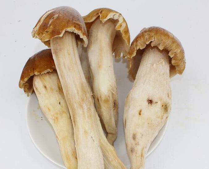 云南雞樅菌批發(fā)新鮮貨干貨凍貨 新鮮貨 干貨 雞樅菌的功效吃法