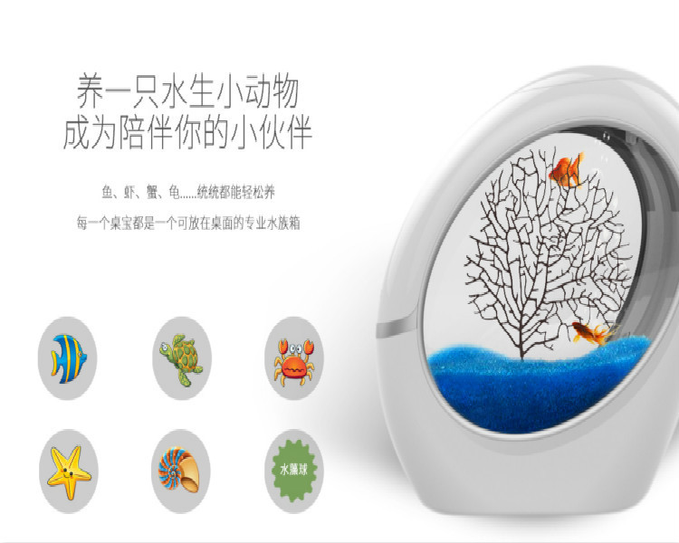 成都亞克力魚(yú)缸廠家 亞克力魚(yú)缸定做，亞克力魚(yú)缸廠家