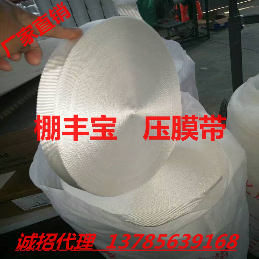壓膜帶 經(jīng)銷棚豐寶牌壓膜帶（繩）